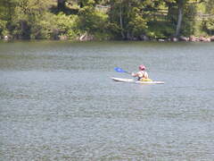 Image file: photo46.jpg