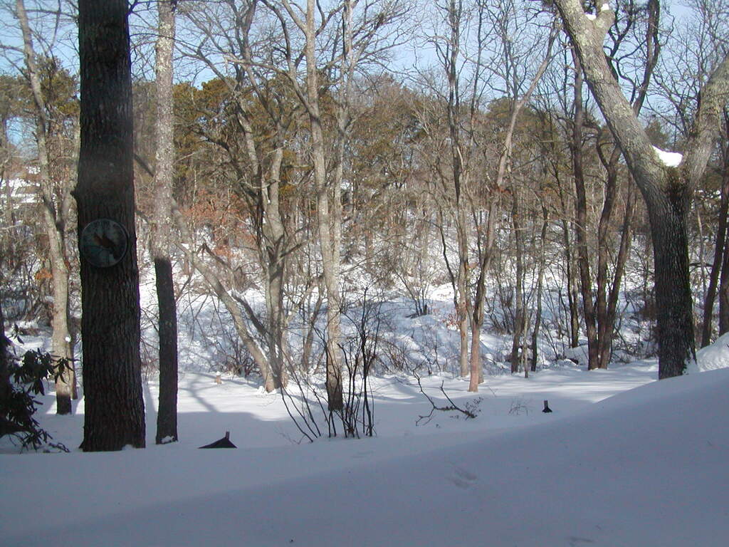 No description provided for: /2005/01-03/0202-snowed-in/photo06.html