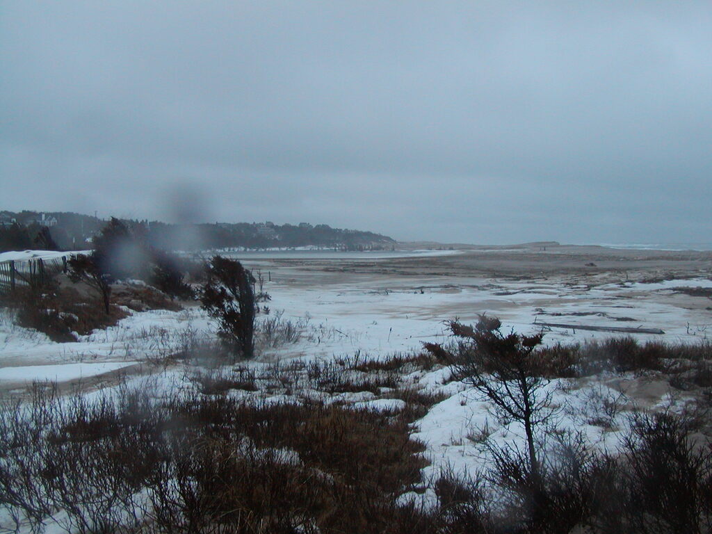 No description provided for: /2005/01-03/0203-nauset/photo01.html