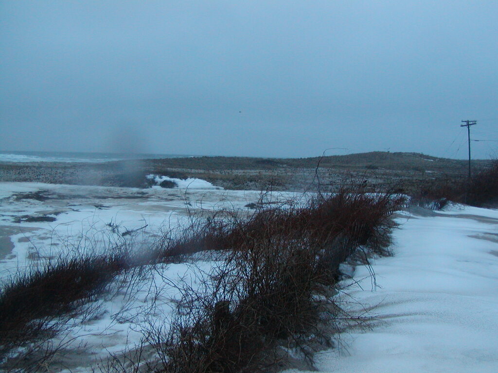 No description provided for: /2005/01-03/0203-nauset/photo03.html