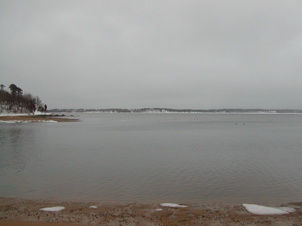 No description provided for: /2005/01-03/0203-quanset-pond/photo09.html