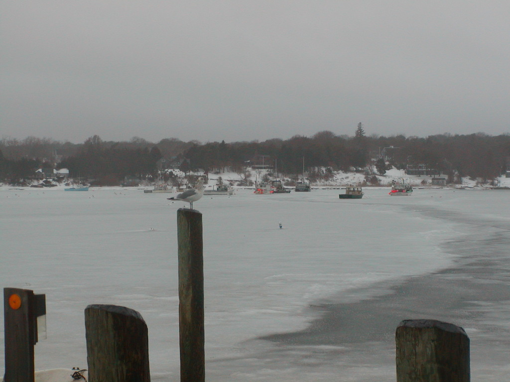 No description provided for: /2005/01-03/0203-ryders-cove/photo13.html