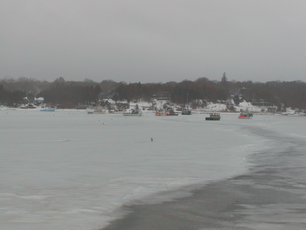 No description provided for: /2005/01-03/0203-ryders-cove/photo14.html