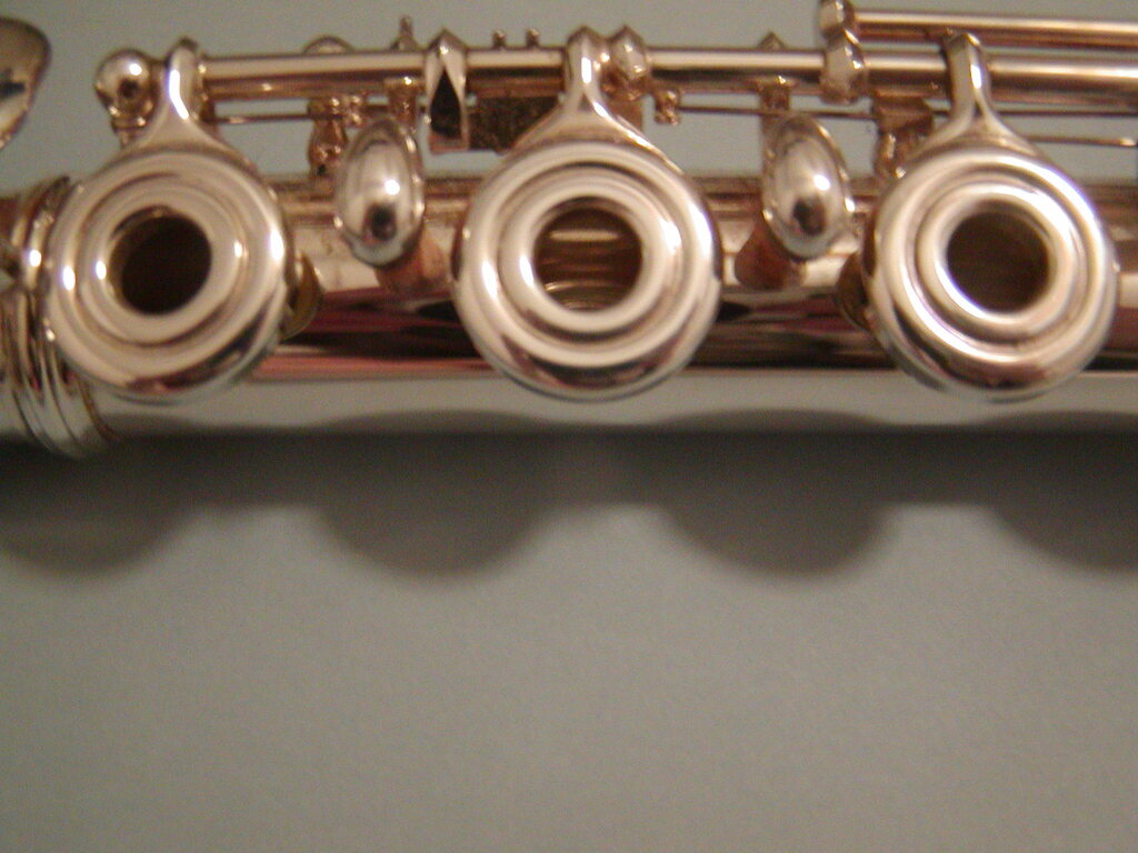 No description provided for: /2005/01-03/0216-flute/photo01.html