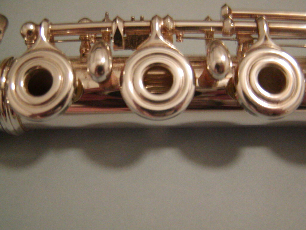 No description provided for: /2005/01-03/0216-flute/photo02.html