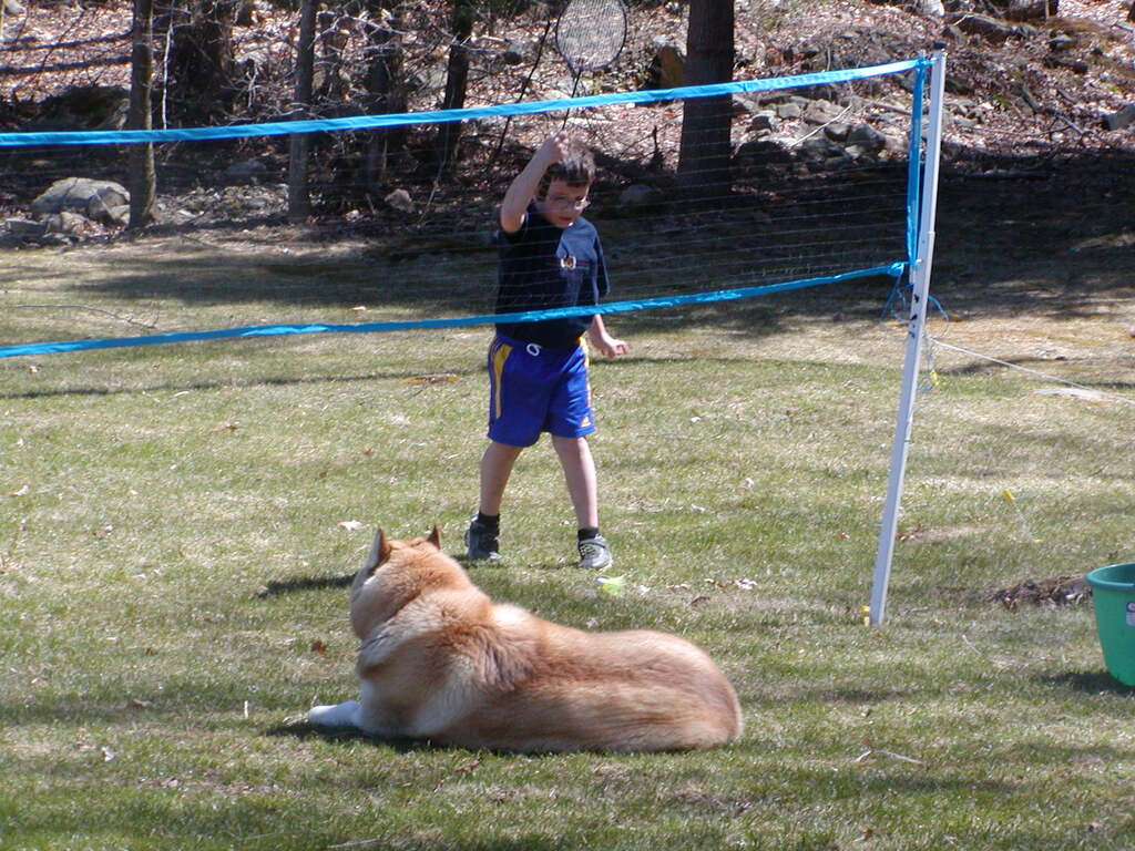 No description provided for: /2005/04-06/0410-cindy+kids/_1/photo05.html