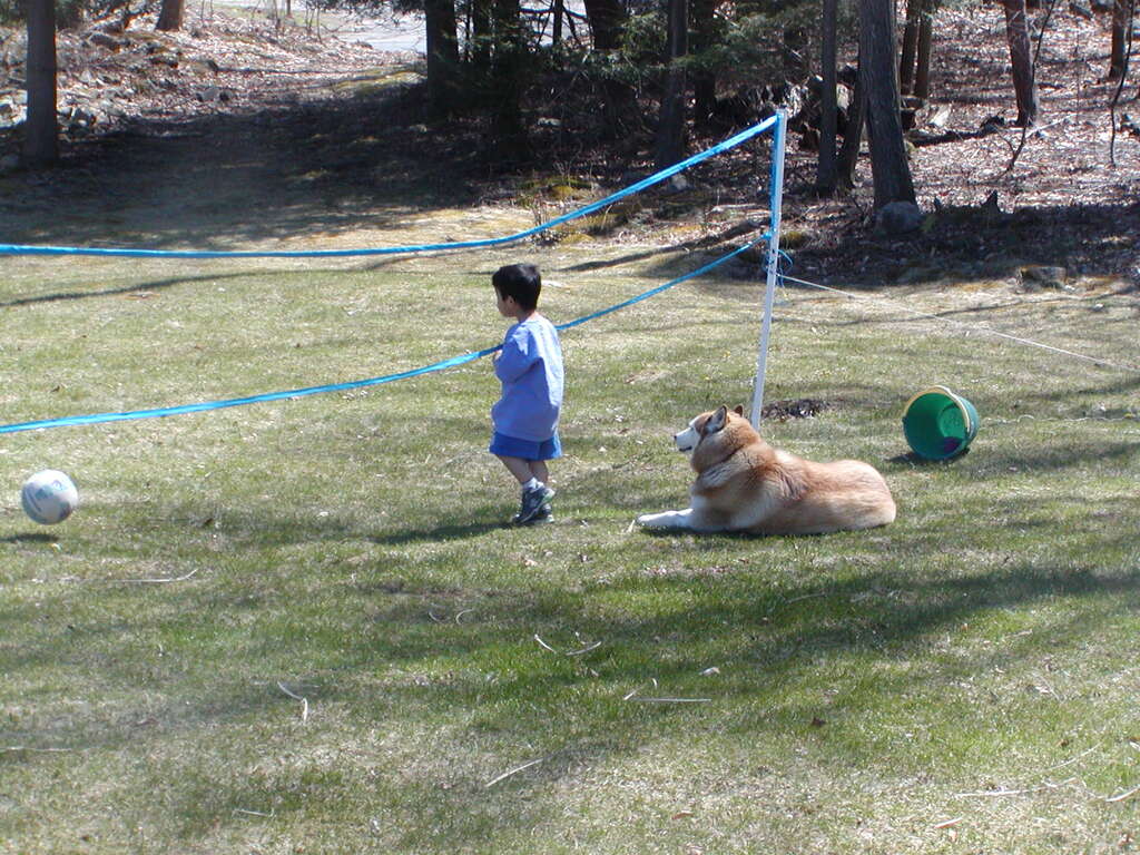 No description provided for: /2005/04-06/0410-cindy+kids/_1/photo08.html