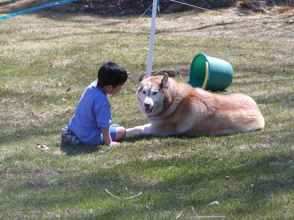 No description provided for: /2005/04-06/0410-cindy+kids/_1/photo09.html