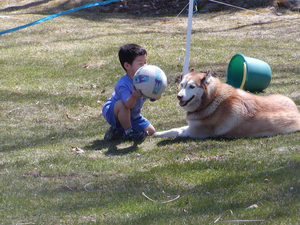 No description provided for: /2005/04-06/0410-cindy+kids/_1/photo10.html