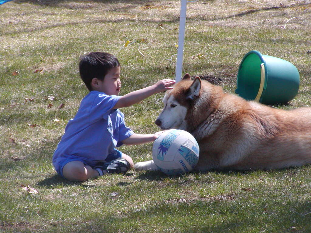 No description provided for: /2005/04-06/0410-cindy+kids/_1/photo14.html