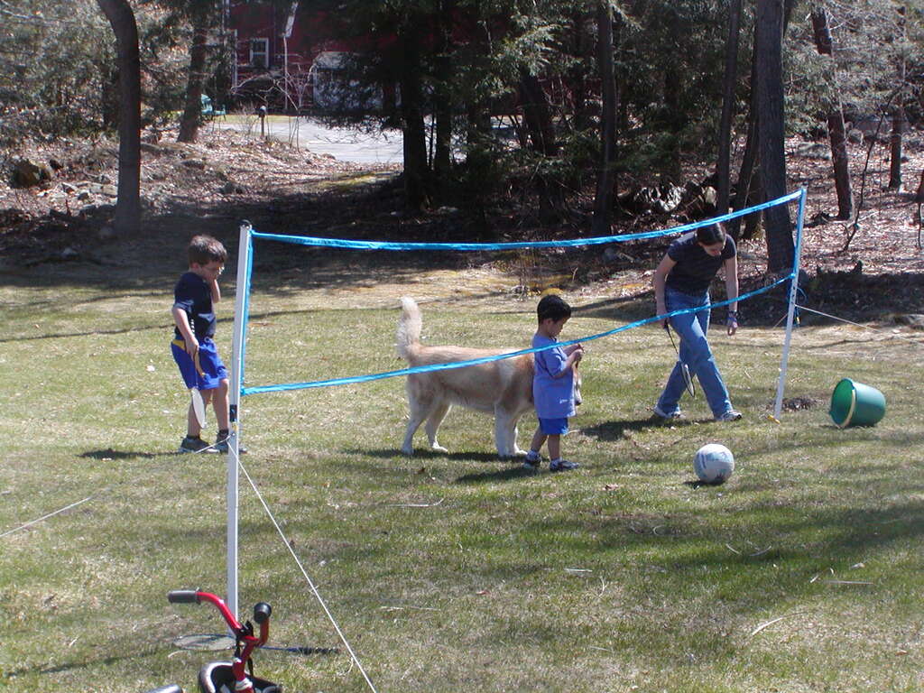 No description provided for: /2005/04-06/0410-cindy+kids/_1/photo20.html