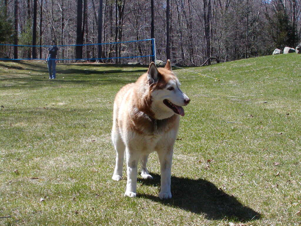 No description provided for: /2005/04-06/0410-cindy+kids/_2/photo26.html