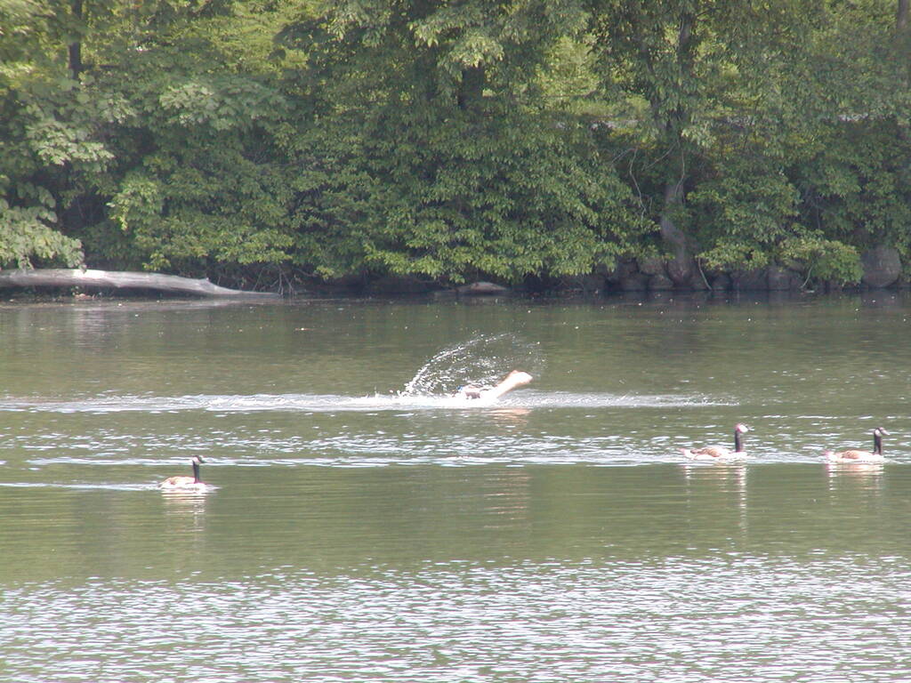 No description provided for: /2005/04-06/0621-waramaug/_1/photo06.html