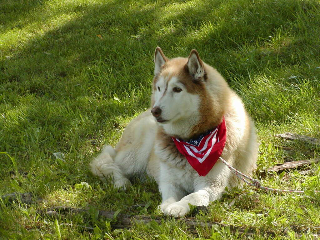 No description provided for: /2005/04-06/0621-waramaug/_4/photo83.html