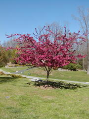 Image file: photo01.jpg