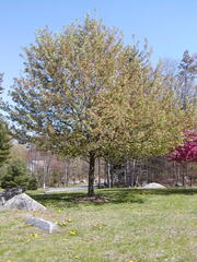 Image file: photo02.jpg