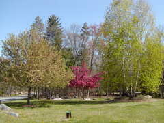 Image file: photo03.jpg