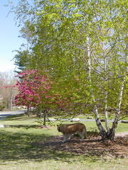 Image file: photo04.jpg