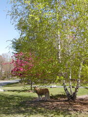 Image file: photo05.jpg