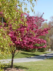 Image file: photo06.jpg