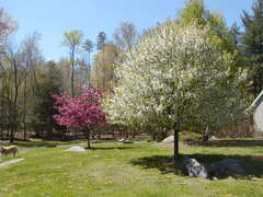 Image file: photo01.jpg