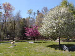 Image file: photo02.jpg