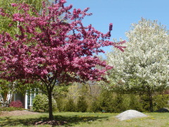 Image file: photo05.jpg