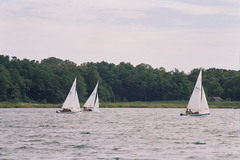 Image file: photo08.jpg