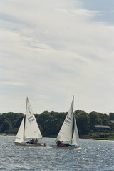 Image file: photo01.jpg