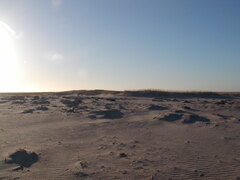 Image file: photo11.jpg