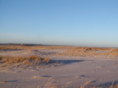 Image file: photo15.jpg