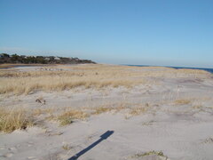 Image file: photo02.jpg