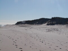 Image file: photo06.jpg