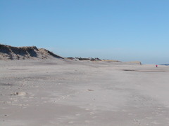 Image file: photo07.jpg