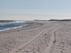 Image file: photo14.jpg