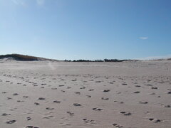 Image file: photo15.jpg