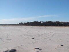 Image file: photo22.jpg