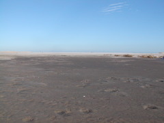 Image file: photo27.jpg