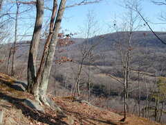 Image file: photo10.jpg