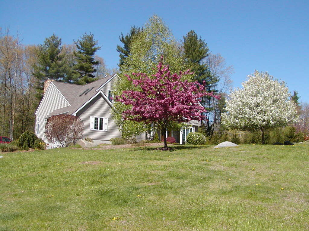 No description provided for: /2006/04-06/0504-trees/photo03.html