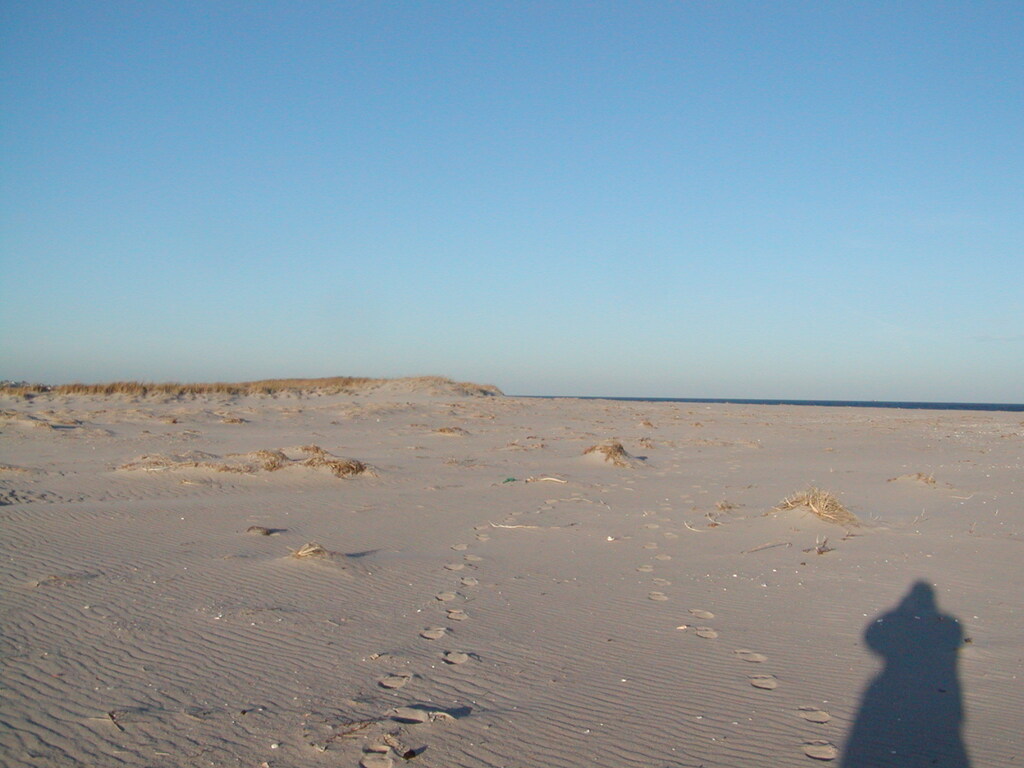 No description provided for: /2006/10-12/1210-monomoy/photo06.html