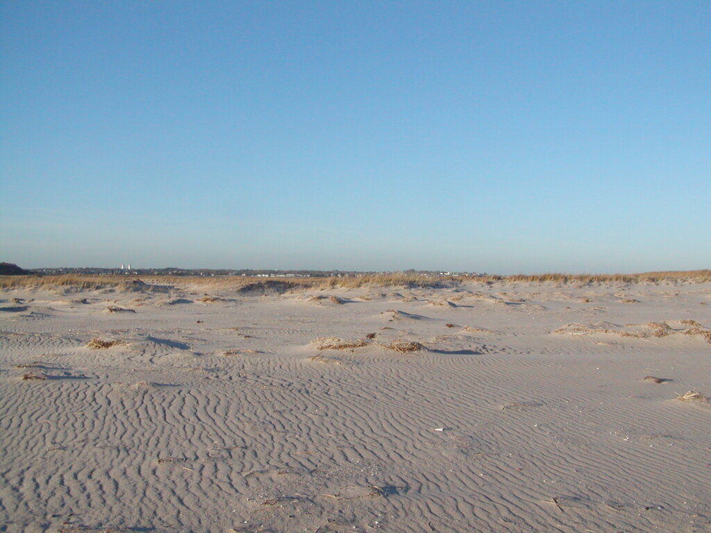 No description provided for: /2006/10-12/1210-monomoy/photo07.html