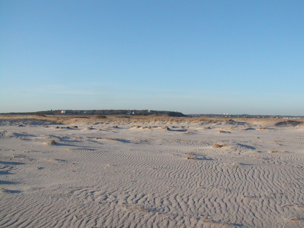 No description provided for: /2006/10-12/1210-monomoy/photo08.html