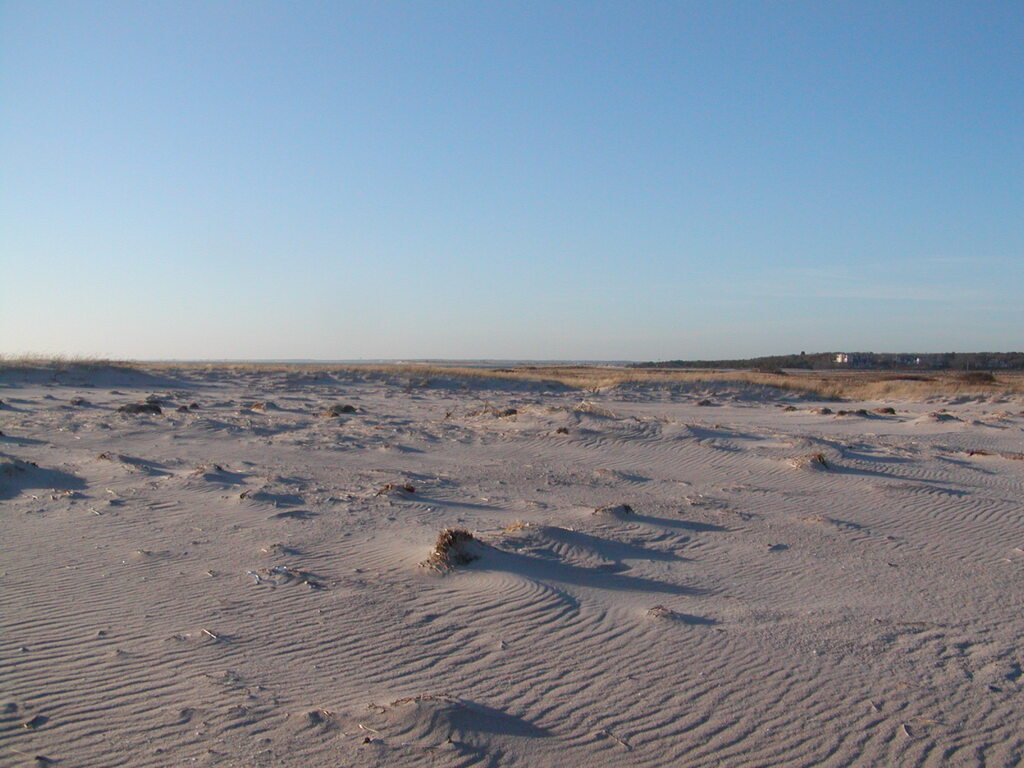 No description provided for: /2006/10-12/1210-monomoy/photo09.html