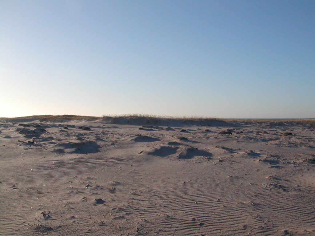 No description provided for: /2006/10-12/1210-monomoy/photo10.html