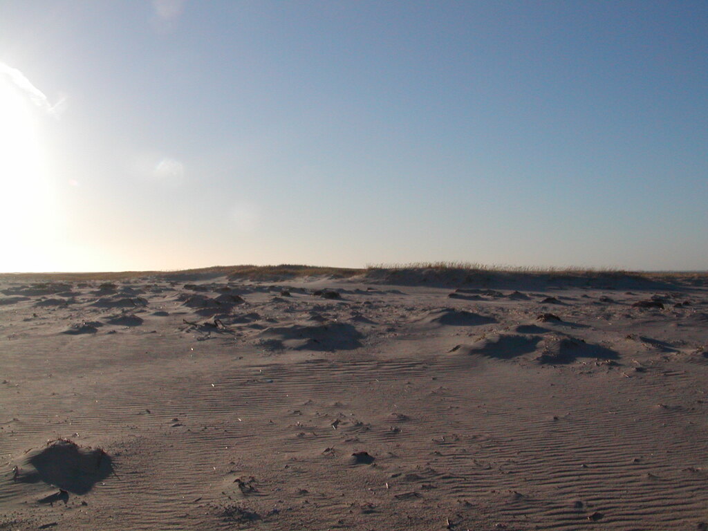 No description provided for: /2006/10-12/1210-monomoy/photo11.html