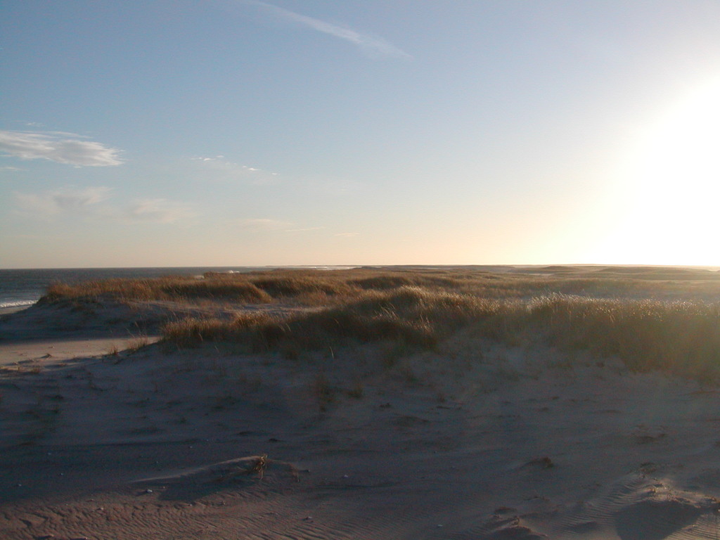 No description provided for: /2006/10-12/1210-monomoy/photo12.html