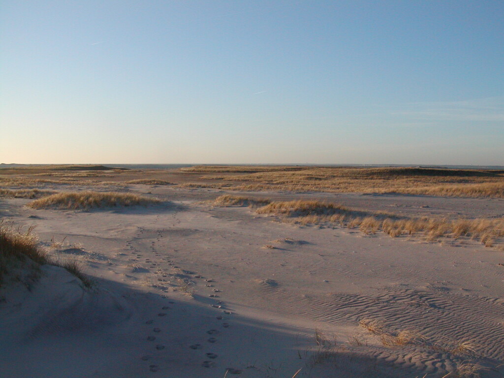 No description provided for: /2006/10-12/1210-monomoy/photo13.html