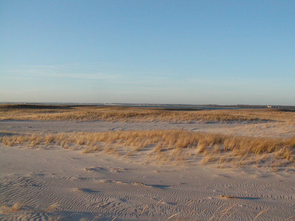 No description provided for: /2006/10-12/1210-monomoy/photo14.html