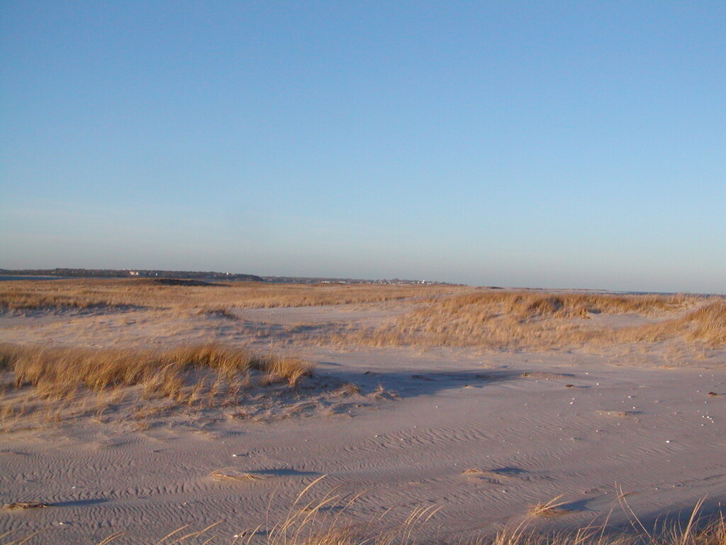 No description provided for: /2006/10-12/1210-monomoy/photo15.html